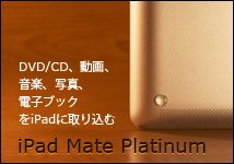 iPad Mate Platinum